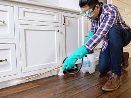 Best Pest Prevention Services  in New Square, NY